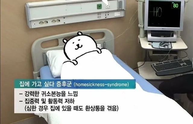 K-노예들의 멘탈 붕괴 시나리오 💣