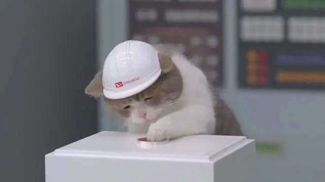 환장하는 궁극의 양자택일 🤯