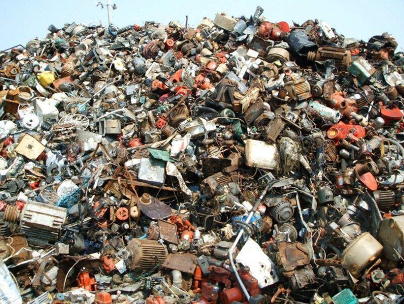 고물상에서 고양이 찾기