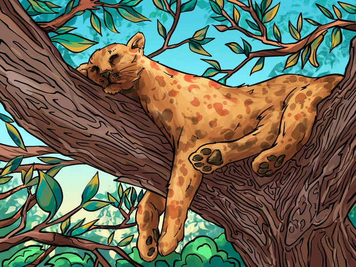 바나나, 손, 버섯, 물고기 숨은그림 찾기