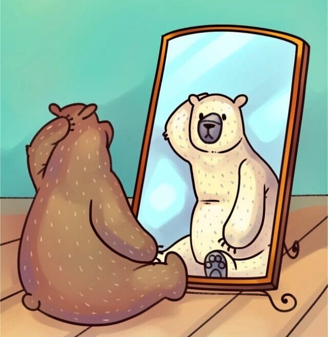 Google 입사 시험 문제 - 곰의 머리털 색깔 맞추기