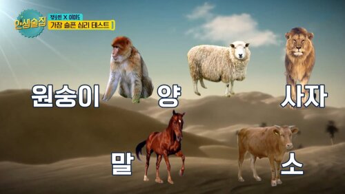 인생술집: 슬픈 인간성 테스트
