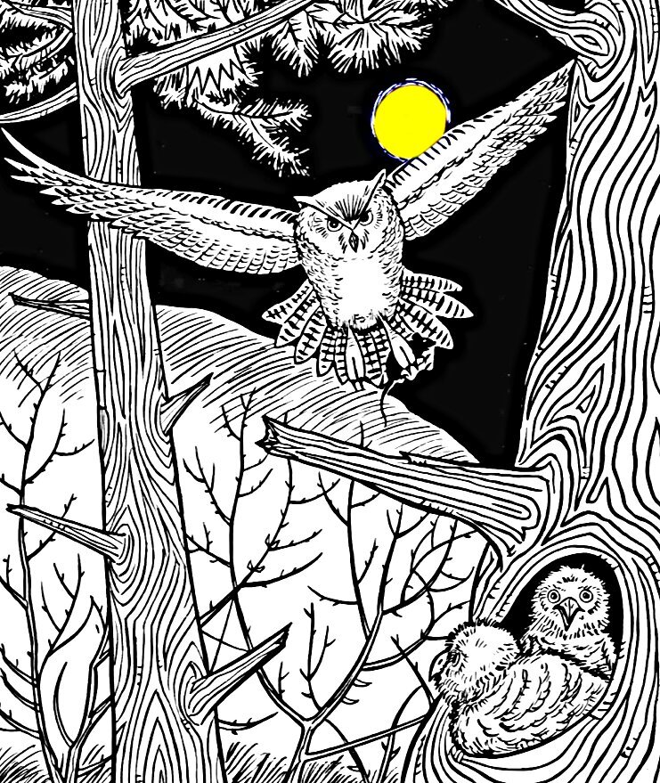 숨은 그림 찾기로 알아보는 노화 테스트