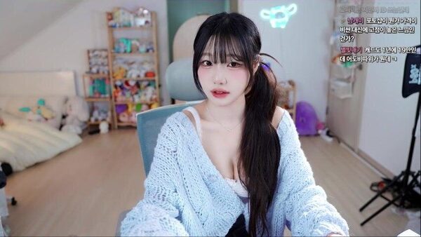 2026년 치지직 여성 스트리머 이상형 월드컵