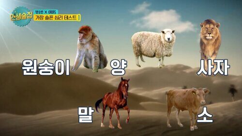 인생술집: 슬픈 인간성 테스트