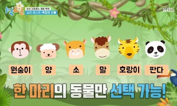 1박2일 : 스트레스 테스트 족장의 선물