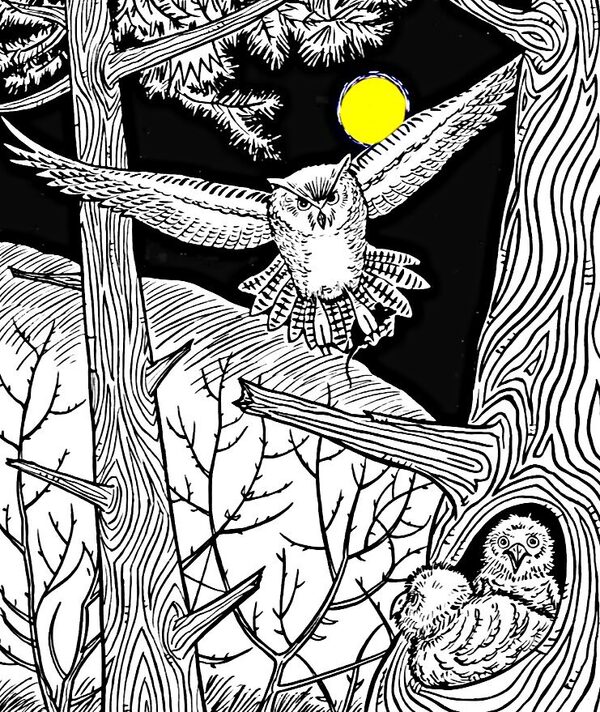 숨은 그림 찾기로 알아보는 노화 테스트