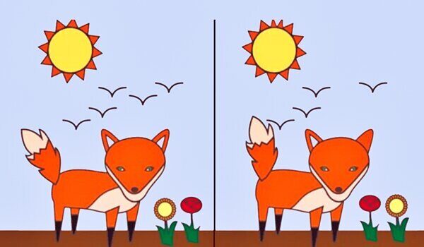 틀림그림 찾기로 알아보는 소름돋는 성격 테스트