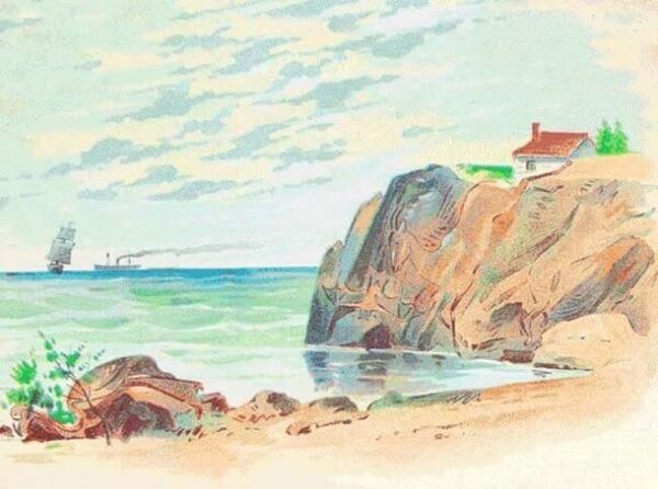 네 마리의 동물  숨은그림 찾기