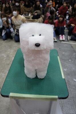 네모네모 멈뭄미체 생성기