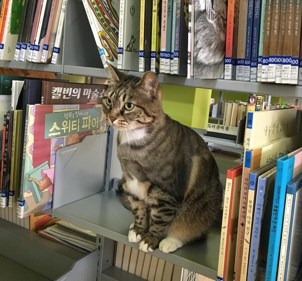 당신의 바람기 지수 테스트