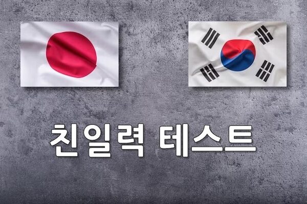 친일력 테스트