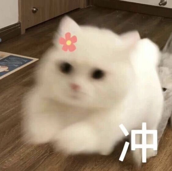ㄴㅅㅇ 맞추기