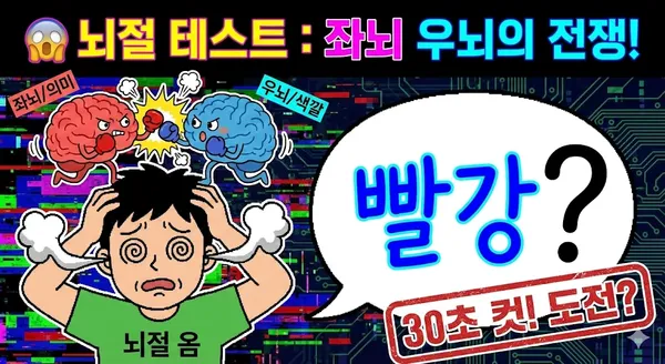 뇌절 테스트 : 좌뇌 우뇌의 전쟁