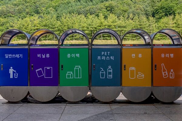 분리수거 리얼 테스트 — 치킨 뼈 어디에 버림?