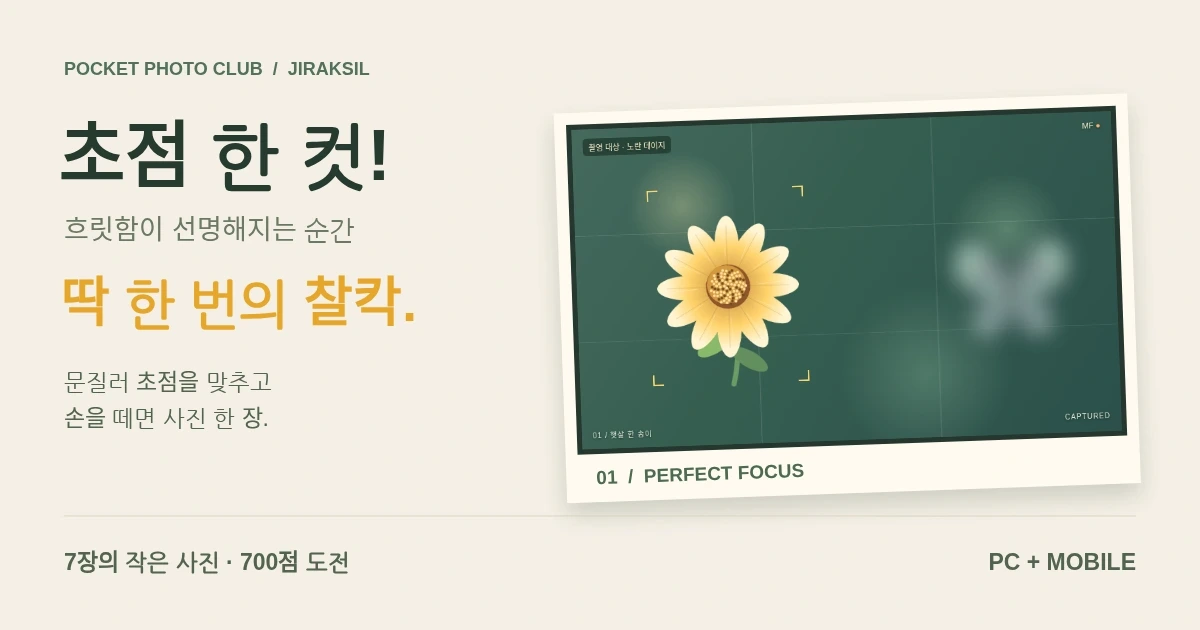 초점 한 컷! - 흐릿함이 선명해지는 순간 찰칵, 눈대중 초점 게임